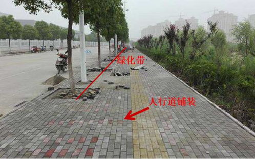 市政工程規范要求、識圖算量與施工工藝解讀